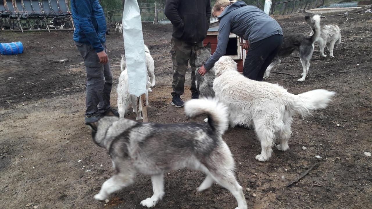 אינארי Cabin At Huskies Farm מראה חיצוני תמונה